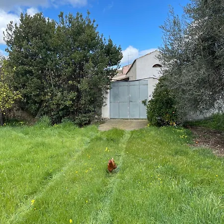 Daire Sa Domu Nostra Solèminis